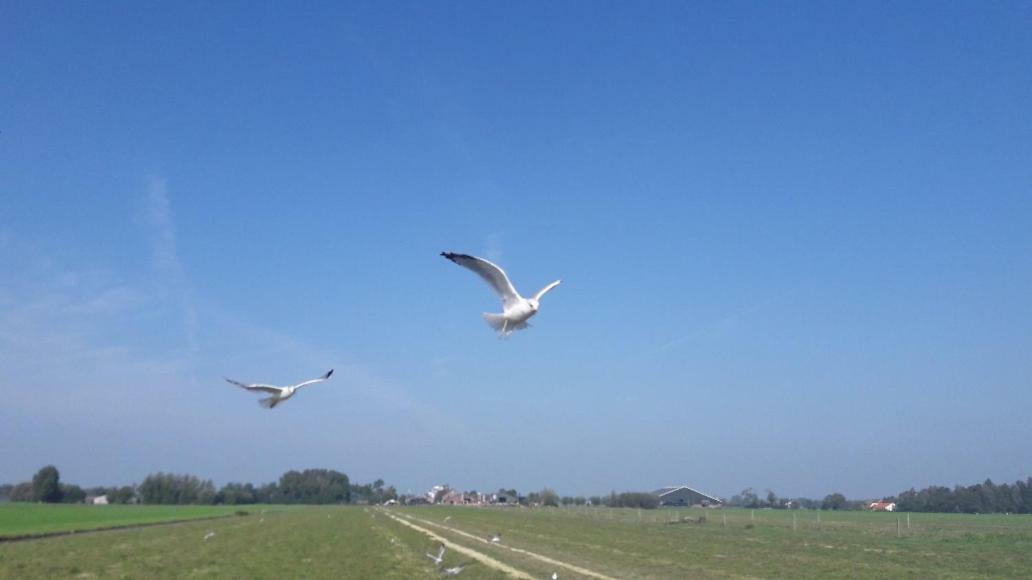 Bedstay41 Oudewater Esterno foto