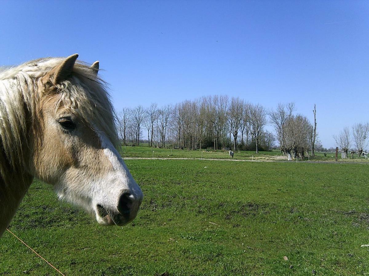 Bedstay41 Oudewater Esterno foto